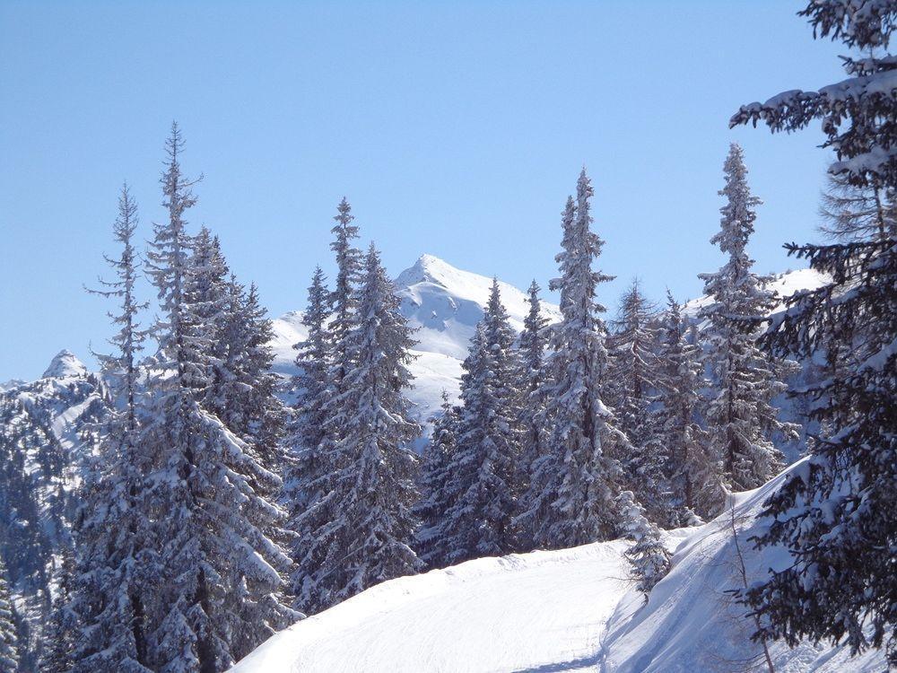Apartment Hinkerhof Schladming Bagian luar foto